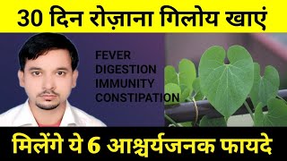 Giloy ke Fayde  फायदे of Ayurveda  Giloy Boost Immunity [upl. by Lexerd]