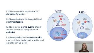 IL21 shapes germinal center polarization via light zone B cell selection and cyclin D3 upregulation [upl. by Regine371]