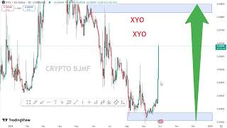 XYO XYO  Crypto Price Prediction 2024 [upl. by Drofnelg]