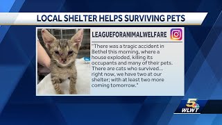 Greater Cincinnati shelter helping pets who survived Clermont County house explosion [upl. by Chantal]