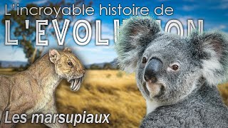 Les marsupiaux  Évolution  Paléontologie  Simplex Paléo [upl. by Montagu706]