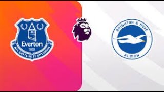 Highlights Everton VS Brighton 2024 Premier League Match Day [upl. by Henriette]