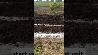 vermicompost unit vermicompost farming vermicelli vermicomposting vermicompostbusiness [upl. by Yanaton302]