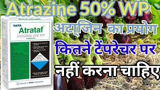 atrazine 50 WP ॥ atrazine  atrataf herbicide  atrazine 50 wp herbicide [upl. by Ttirrem4]