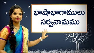 Parts of Speech  Pronoun in Telugu  భాషాభాగాములు సర్వనామము  Learn Telugu for all [upl. by Sabian]