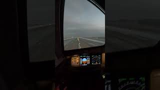 Landing in Moscow UUDD Airbus A320 neo aviation goproaviation gopro airbus [upl. by Kobe]