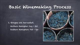 Basics of Winemaking [upl. by Leikeze]