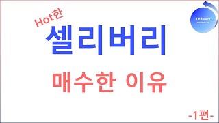 내가 셀리버리를 매수한 이유 핫해hotㅔ 제1편 [upl. by Eadrahc]