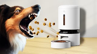 Petlibro Granary  Smart Home for My Dog [upl. by Karim]