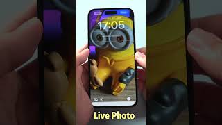 Live Foto Hintergrund ist wieder da😍LiveHintergrund am iPhone einrichten ios17 iphonetricks [upl. by Gare]