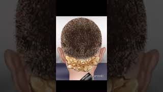 Lice treatment 🪱ASMR asmr animation satisfyingvideo viralshorts [upl. by Avir]