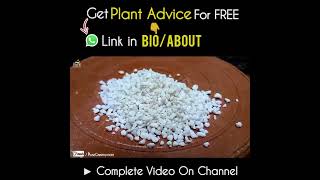 Do amp Dont For Using Perlite on Plants [upl. by Damek]