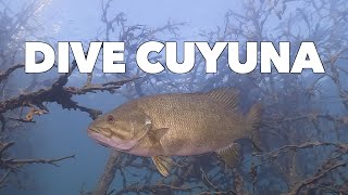 Dive Cuyuna 2024 [upl. by Novaelc]