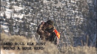 IDAHO Bull Elk Hunt [upl. by Frum]