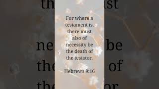 Verse of the day Hebrews 916 shorts [upl. by Ivory433]