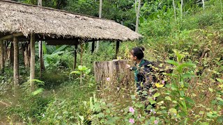 A 17yearold girl makes a new bed out of bamboo in an abandoned house  building a new life [upl. by Candide]