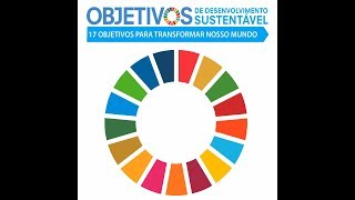 Você sabe o que é a Agenda 2030 [upl. by Yanahc]