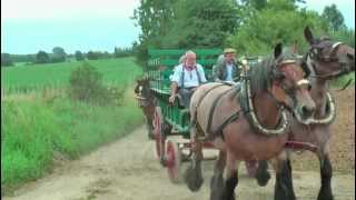 Teams of Belgian Draft Horses [upl. by Inalaek949]