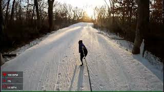 A Mediocre Skier and a Very Good Boy attempt the City of Lakes Loppet Sunday 10k Skijor 2024 [upl. by Aivekal]