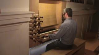 Johann Sebastian Bach  Herr Christ der einge Gottessohn BWV 601 Luca Massaglia organ [upl. by Marrissa]