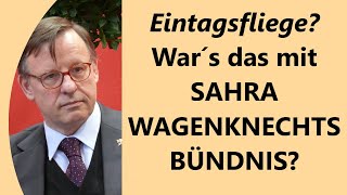 BSW schmiert ab AfD Linke gewinnen Reine Mode und StimmungsPartei [upl. by Salvador]