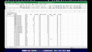 01 SIMnet Excel Ch 1 Guided Project 1 3 part 01 gomel [upl. by Einitsed308]