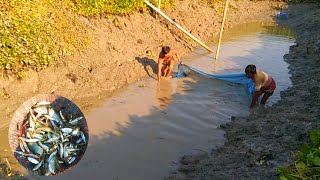 Traditional Net Fishing  Amazing Net Fishing by Village boy  River Catch Netting  Fishing  Net [upl. by Legin]