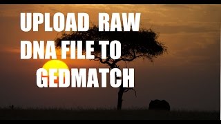 How to Upload AncestryDNA file to Gedmatchcom  DNA program tutorial [upl. by Laverna]