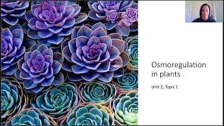 Osmoregulation in plants [upl. by Alleber312]