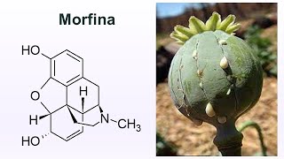 Grupos funcionales presentes en la Morfina [upl. by Lais]