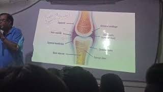 Parts of synovial joints [upl. by Benge]