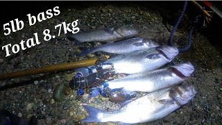 Coastal Foraging At Night On Big spring Tides [upl. by Nehgem]