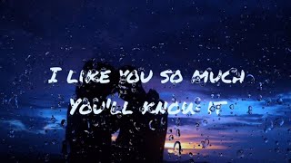 I like you so much youll know it LYRICS [upl. by Eelrehpotsirhc]