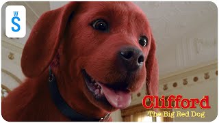 Clifford the Big Red Dog 2021  Scene [upl. by Anyela]