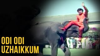 Odi Odi Uzhaikkum Video Song  Nalla Neram  நல்ல நேரம்  MGR  KR Vijaya  K V Mahadevan [upl. by Mizuki]