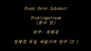 Schubert  Fruhlingstraum 봄의 꿈  Accompaniment [upl. by Wivinah]