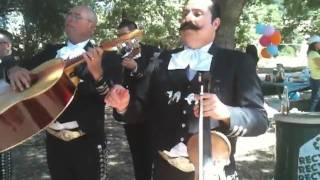 Mariachi Alma de Jalisco  Vida Prestadamov [upl. by Yakcm]