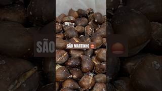 SÃO MARTINHO 🌰 [upl. by Newsom]