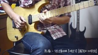 Plini  Selenium Forest Intro Cover  Demo SX SEG1 [upl. by Caye]