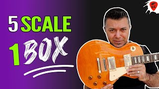 5 Scale Indispensabili Per Chitarra in 1 Solo Box [upl. by Megen]