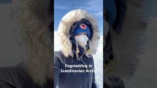 Dogsledding in Scandinavian ARCTIC 🩵 [upl. by Eeliak]