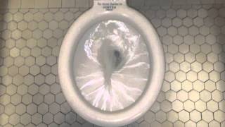 577 Three MeyerSniffen Vortex Special Toilets [upl. by Eitsyrhc]