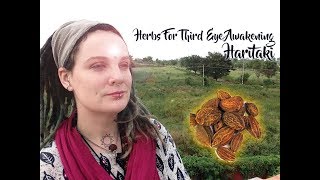 Herb for Third Eye Awakening Haritaki [upl. by Wendall495]