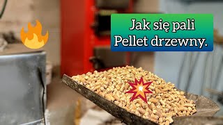 🔥 Jak się pali pellet drzewny premium w kotle górnego spalania Czy warto [upl. by Asennav749]