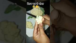 Aaj bhi gobi shortvideos food comedy youtubeshorts youtubevideo viralfood shortsviral [upl. by Ashley668]