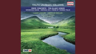 Household Music No 2 St Denio Scherzo  No 3 Aberystwyth Variations [upl. by Lan]