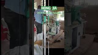 15TD Rice Mill Plant  Rice Processing Machine for Our Tanzania Customer ricemilltanzania [upl. by Bartolomeo]