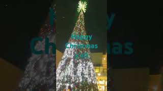 Merry Christmas 🎄woodlands mall christmas [upl. by Kassaraba]