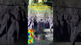 Pollachi successful borewell water 800 feet Hari Scientific waterdiviner borewell borepoint [upl. by Notserc429]