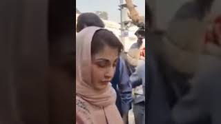 Maryam Nawaz Sharif Son Junaid Safdar [upl. by Seibold]